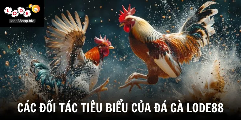Các đối tác tiêu biểu của đá gà Lode88