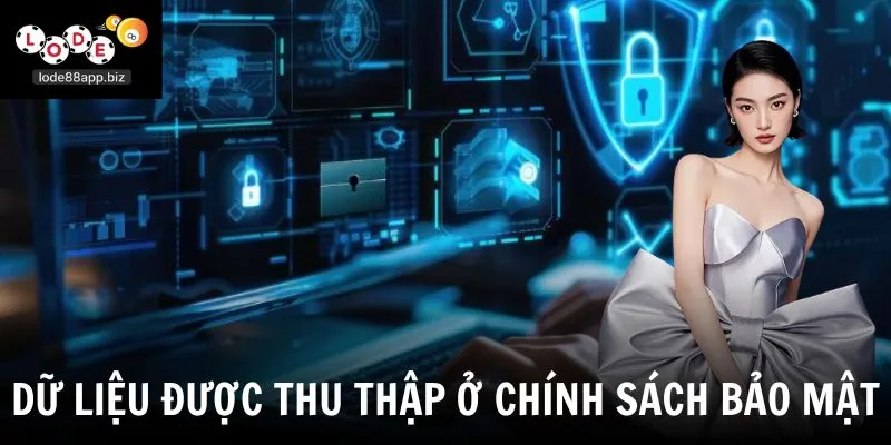 Dữ liệu được thu thập ở chính sách bảo mật