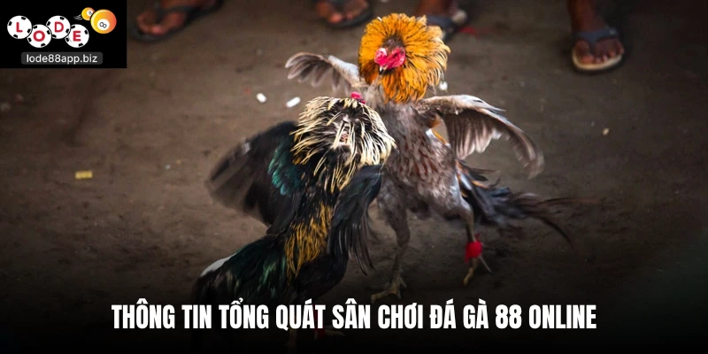 Thông tin tổng quát sân chơi đá gà 88 online